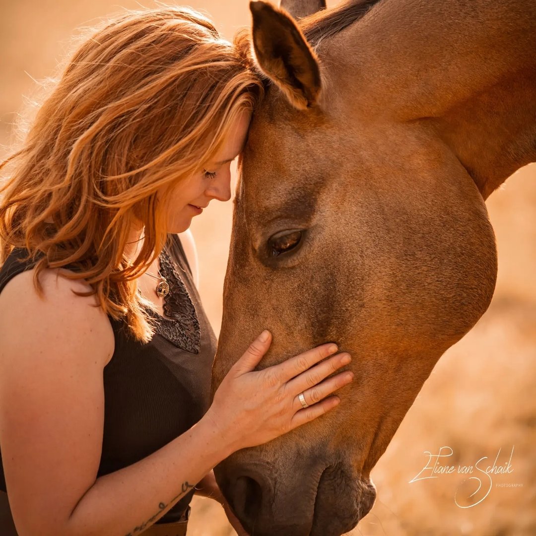 Marleen van der Wals